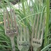 Vintage silverware  flower vase recycled silver plated flatware knife
