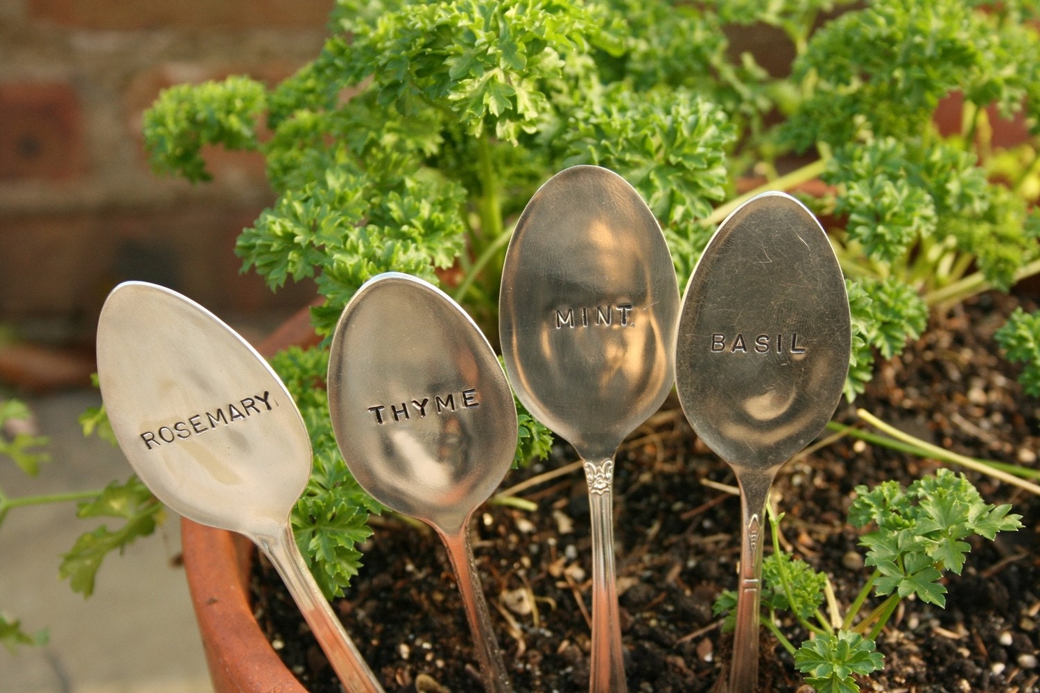 Basil Mint Rosemary Thyme silverware garden marker set silver plated  flatware