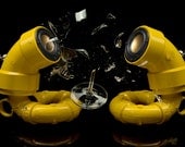 ikyaudio Yellow Sea Horses audio speakers - Design Copyright Pending