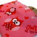 Reusable Snack Bag Eco Friendly - Heart Owls - Made to Order