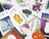 Ten Vegetable Portrait Postcards of your choice, gardening quotations on back, 4 in x 6 in, silky smooth
