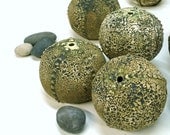 Nautical Decor, Textured Ceramic Sea Urchin Sculptural Round Geometric, Handmade Pottery Holiday Christmas Gift