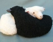 Irish Sheep Galway Entwined Twins