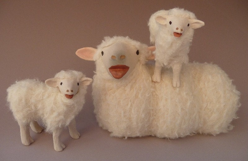 Irish Galway Sheep with Baaing Twins