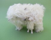 English Lincoln Longwool Over Lamb