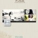 Facebook Profile Photo Template - Bare
