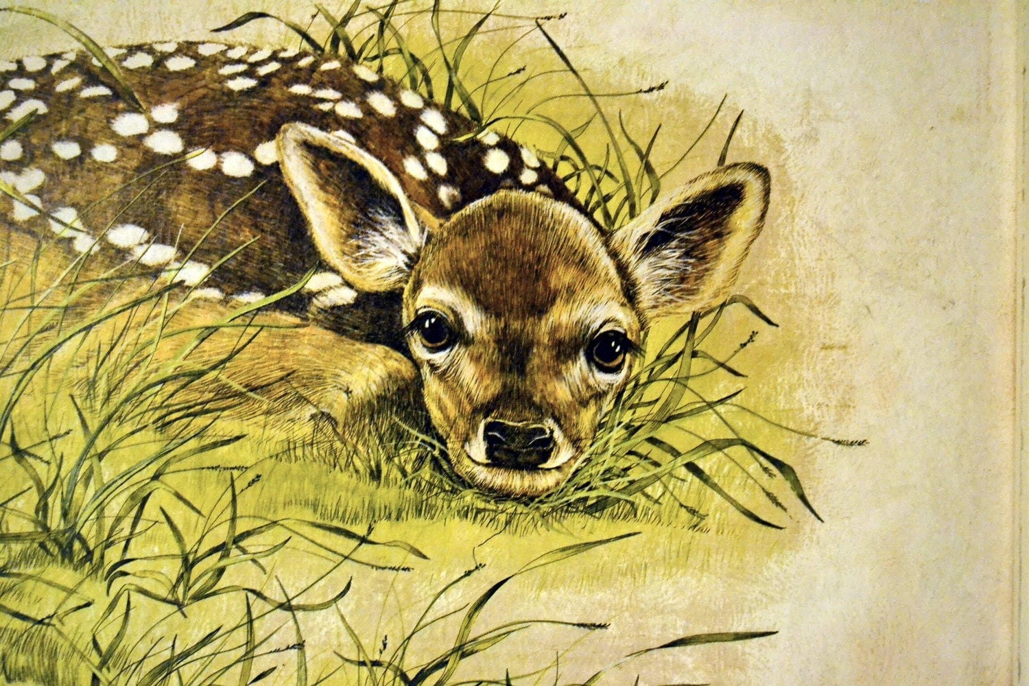 Bambi Baby Room