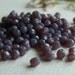 Czech Glass Beads Fire Polished Faceted Round 4mm Opal Plum Purple (100pcs) Last Lot