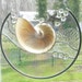 Clear textured Sculpture