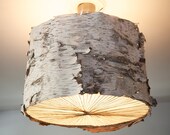 White Birch Chandelier by Danielle Quigley