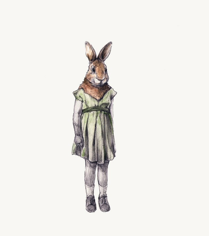 little rabbit-sensitive observer