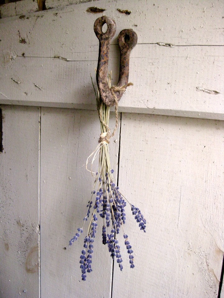 Vintage Iron Strap