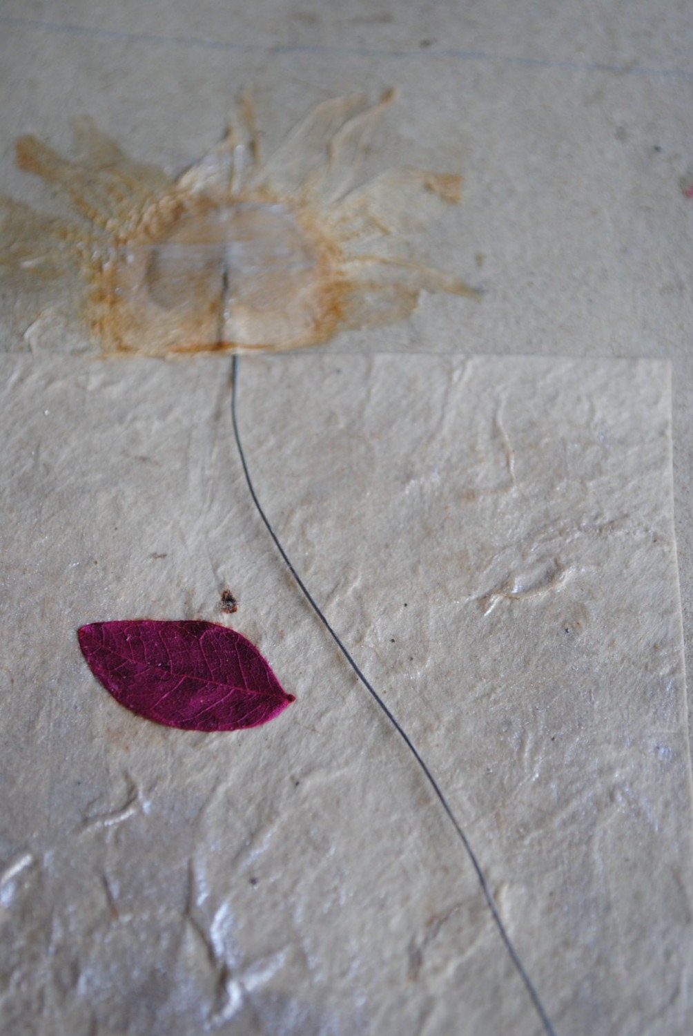 Red leaf             Rosso la foglia