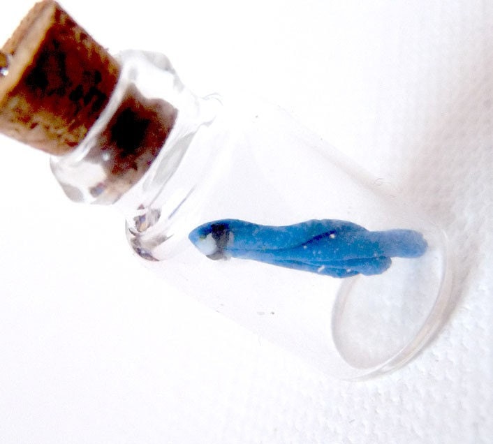 Tiny Blue- embryonic squid monster in a bottle - ornament and trinket