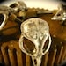 Bird Skull Cabinet Hardware Skull Drawer Pulls Skull Cabinet Knobs cast metal. Antique silver plate. Made in NYC