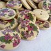 Garden Painted Design Wood Buttons / Garden Design Wooden Buttons, WB10114 (6 in 1 set)