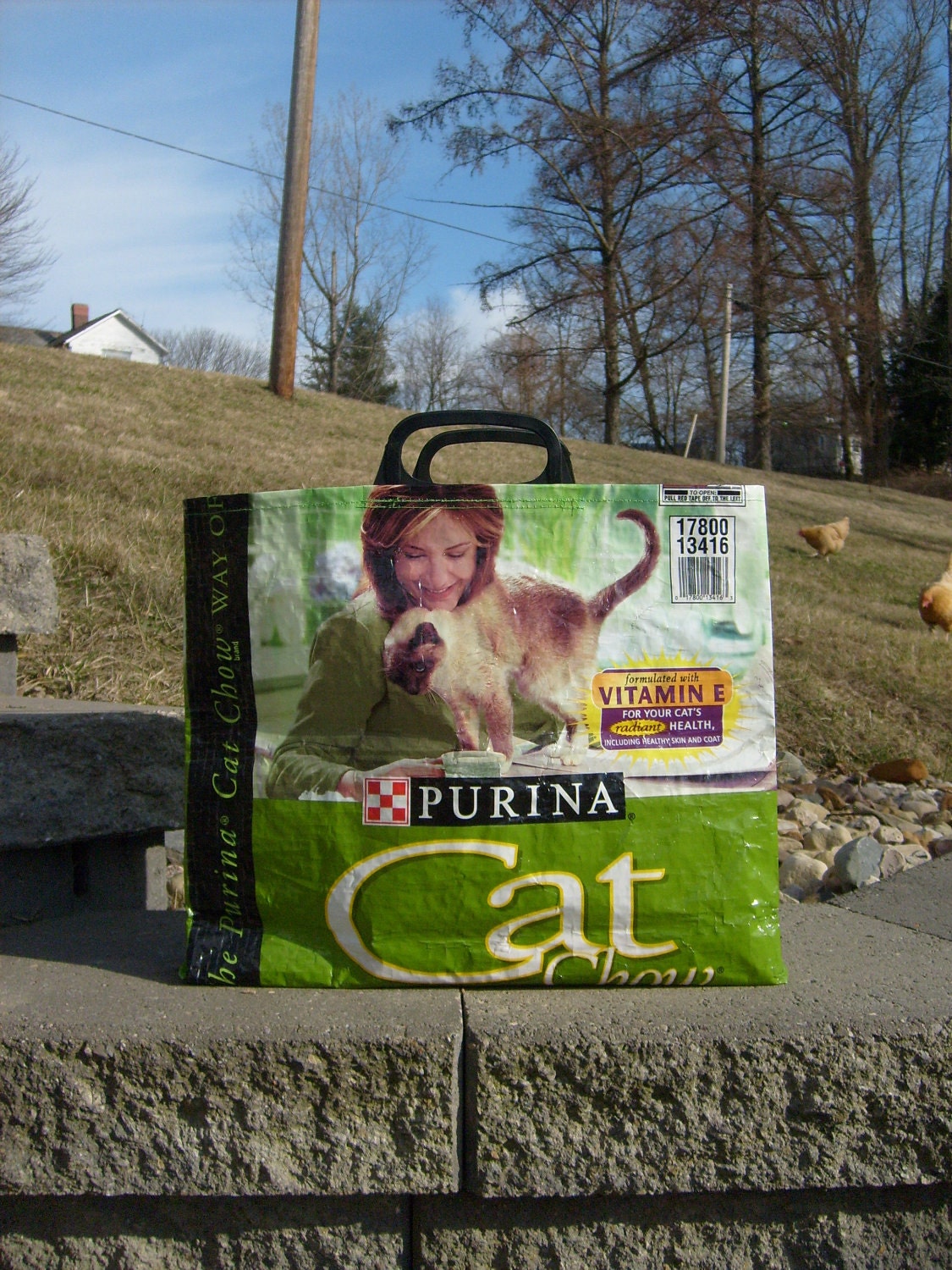 Recycled  Feed Sack Green Cat Food Purse, Market Bag, or Tote with Short Plastic Handles