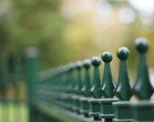 fences 5x7 photo print - all in a row