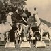 Llama Trainer Miami Florida Black and White Photo
