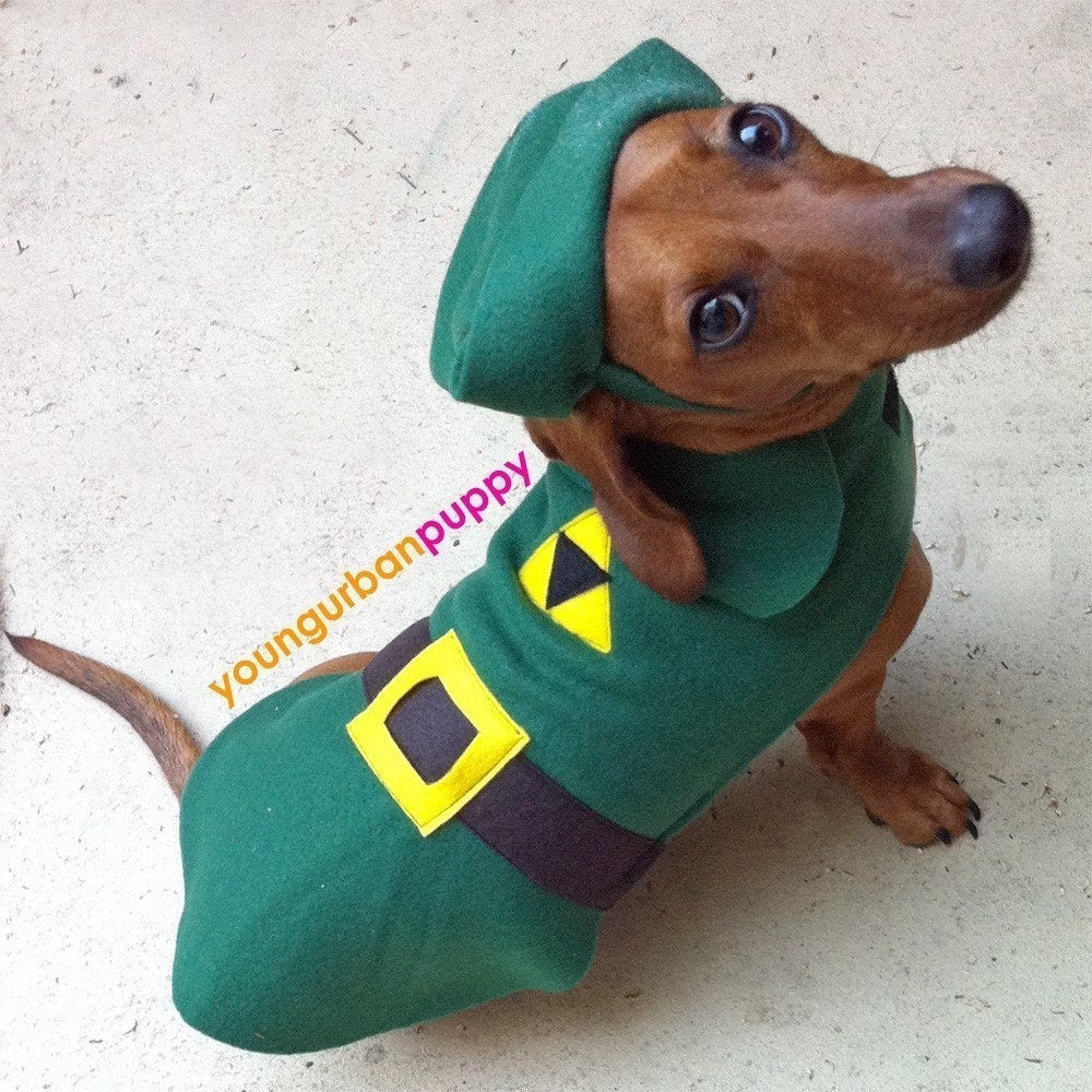 LINK from Nintendo Legend of Zelda Dog Costume