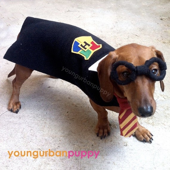 3 Piece Wizard Dog Costume