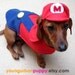 MARIO NINTENDO outfit for Dogs