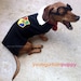 3 Piece Wizard Dog Costume