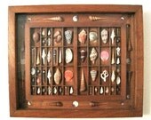 Sea shell art in an altered printer's type box