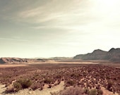 Go west, Southwest, Nevada Photograph - mint green sky travel photography print - Mountains cowboys western rustic decor 8x12 - Raceytay