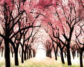 Nursery Decor, Alice in Wonderland themed art for girls, pink, dark brown, cherry blossom, 8x8 raceytay