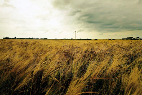 Country photography - rustic farm on the prairie, honey brown wheat field, Canada, gold decor, ombre, rustic, 8x12 Fathers Day