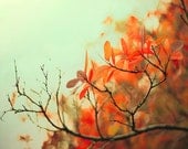Autumn photography,  tangerine orange fall leaves photograph - rustic woodland decor - mint green wall art - 5x5 photo - Raceytay