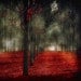 Photography gift set of 3 5x5 photos for Fathers Day - red trees in autumn, red wall decor - nature photography for Ikea ribba