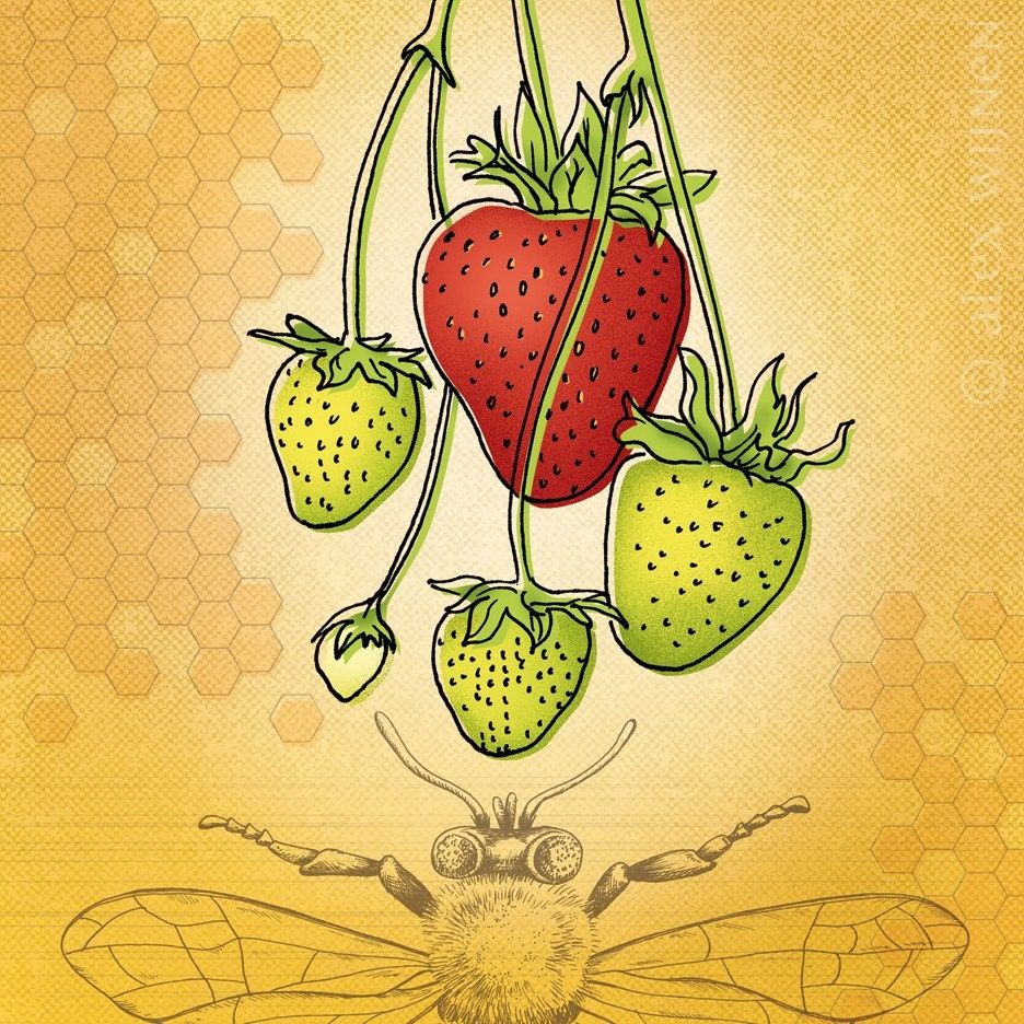 11x14 illustration print: Taste of Summer (strawberries and bee with honeycomb texture)