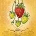 11x14 illustration print: Taste of Summer (strawberries and bee with honeycomb texture)