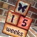 Wooden Baby Blocks Age Blocks for Photos Baby Girl Reds Teals READY TO SHIP