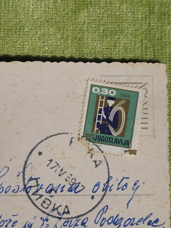Vintage Postcard with Bird