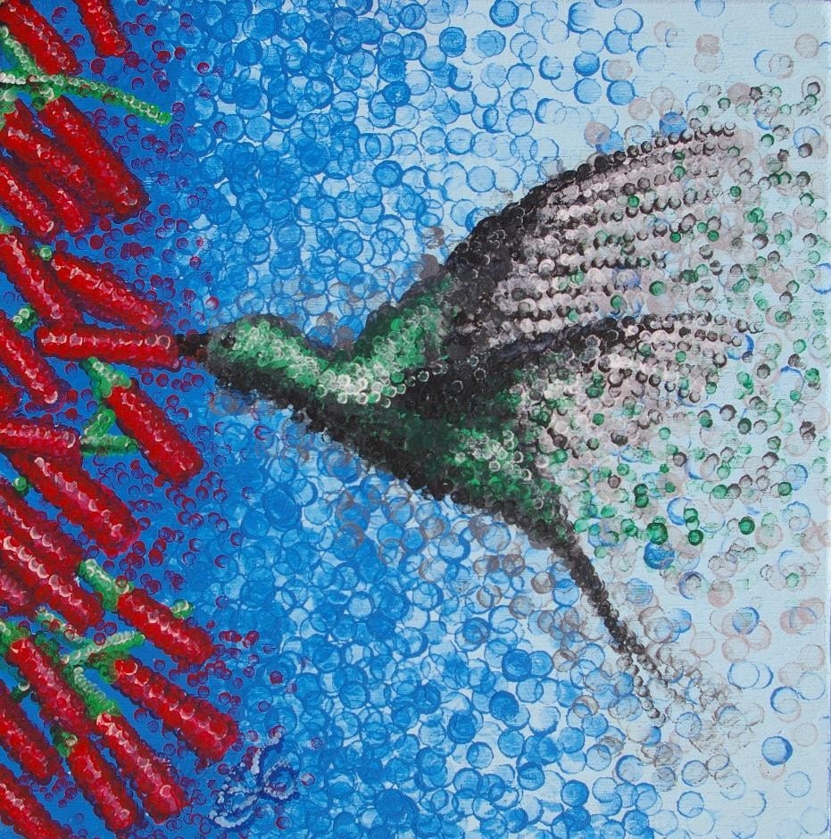 Black Wing Hummingbird