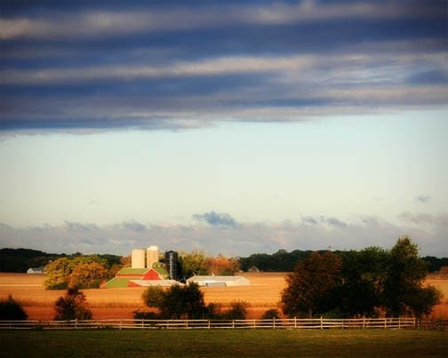Country Landscape Photograph farm blue sky field sunrise vast open space illinois 8x10