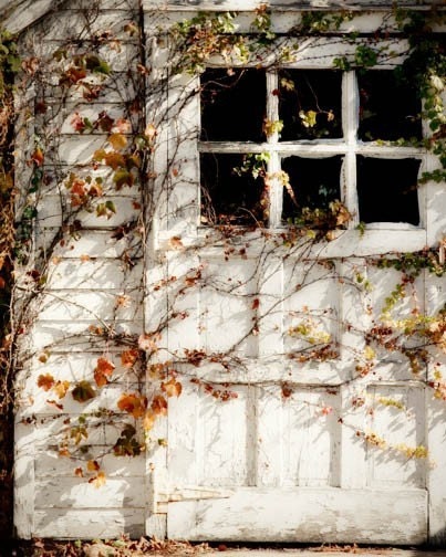 Country Cottage Photo autumn white rustic barn vines leaves fall home decor quaint 8x10