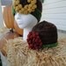 Flowers of Fall Hat Knitting/Crochet Pattern
