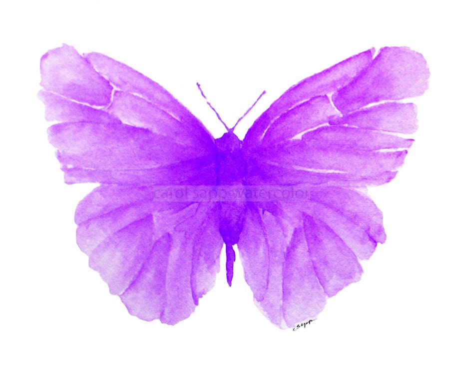 violet butterfly watercolor archival print by Carol Sapp