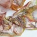 Silk scarf hand painted. Heralds