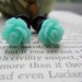 Plugs-Gauges-Light Aqua Roses