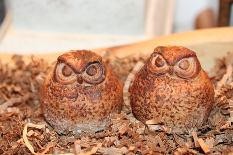Fat Owl Soaps Primitive looking Soaps made with natural goodness