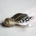ALDEN Boutonniere