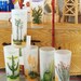Vintage Mid-Century Glasses Cactus 6 pc- Ranch Cabin