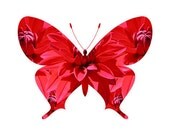 Red Dahlia Butterfly photo print