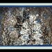 Handpainted Winter Fabric Panel -- Blue and White Trees and Moon Painted on Black Fabric Bordered in Blue and Grey