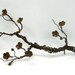 Blissful Barbed Wire Cherry Blossoms For Good Luck